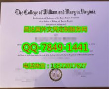 <b>The College of Willi</b>