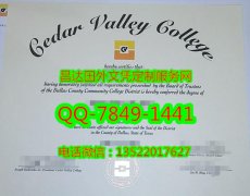 <b>Cedar Valley College</b>