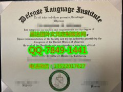 <b>Defense Language Ins</b>