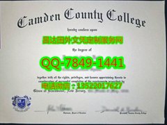 <b>Camden County Colleg</b>
