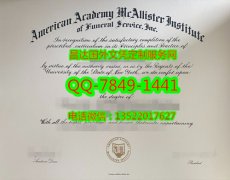 <b>American Academy McA</b>