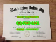 <b>Washington Universit</b>