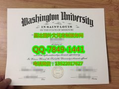 <b>Washington Universit</b>