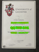 <b>University of Leices</b>