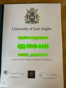 <b>University of East A</b>