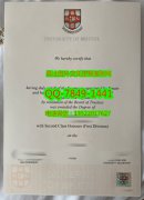 <b>University of Bristo</b>