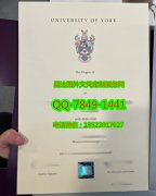 <b>University of York D</b>