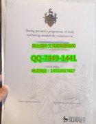 <b>University of Surrey</b>