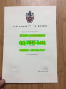 <b>University of Essex </b>