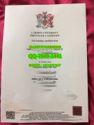 <b>Cardiff University D</b>