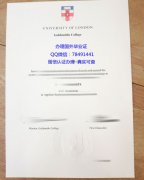 <b>Goldsmiths Universit</b>