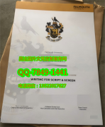 <b>Falmouth University </b>