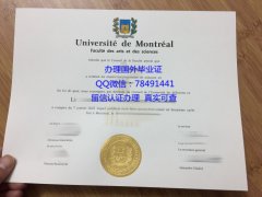 <b>Universit de Montr</b>