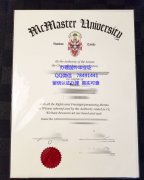 <b>McMaster University </b>