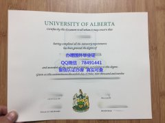 <b>University of Albert</b>