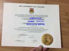 <b>University of Calgar</b>