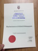 <b>Holmes Institute Dip</b>