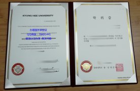 <b>Kyung Hee University</b>
