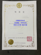 <b>Hankuk University of</b>