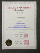 <b>Sejong University Di</b>