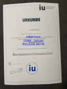 <b>IUBH Internationale </b>