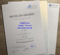 <b>Frankfurt University</b>