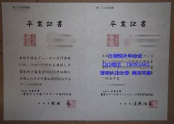 <b>International School</b>