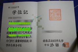 <b>Kurashiki University</b>