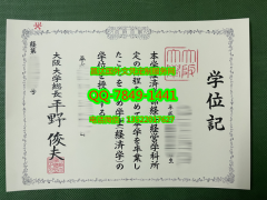 <b>Osaka University Dip</b>