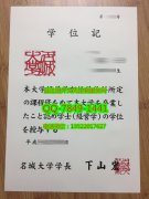 <b>Meijo University Dip</b>