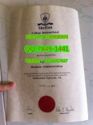 <b>Shelton College Inte</b>