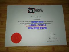 <b>Singapore Institute </b>