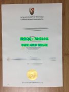 <b>Auckland University </b>