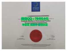 <b>Otago Polytechnic Di</b>