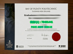 <b>Bay of Plenty Polyte</b>