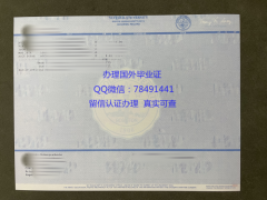 <b>�������������˴�ѧ��</b>