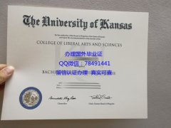 <b>University of Kansas</b>