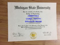 <b>Michigan State Unive</b>