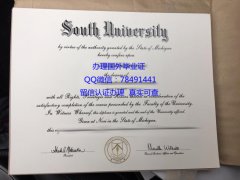 <b>South University Dip</b>