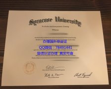 <b>Syracuse University </b>