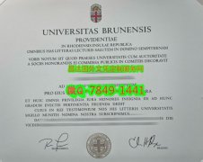 <b>Brown University Dip</b>