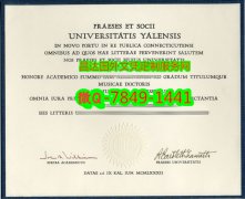 <b>Yale University Dipl</b>