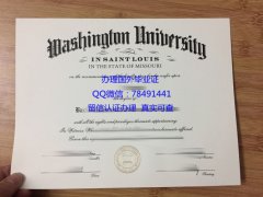 <b>Washington Universit</b>