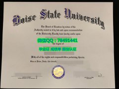 <b>Boise State Universi</b>