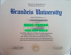 <b>Brandeis University </b>