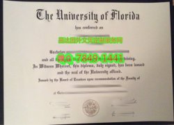 <b>University of Florid</b>