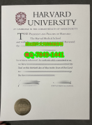 <b>Harvard Un</b>