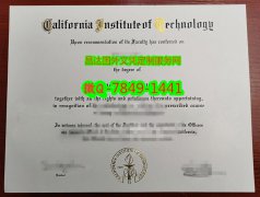 <b>Caltech Diploma Samp</b>