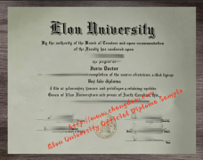 <b>Elon University Offi</b>