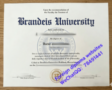 <b>Brandeis University </b>